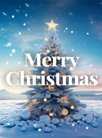 EDISION HOLIDAY SEASON 2025 - 2026!