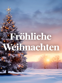 EDISION Betriebsferien Weihnachten 2024-2025!